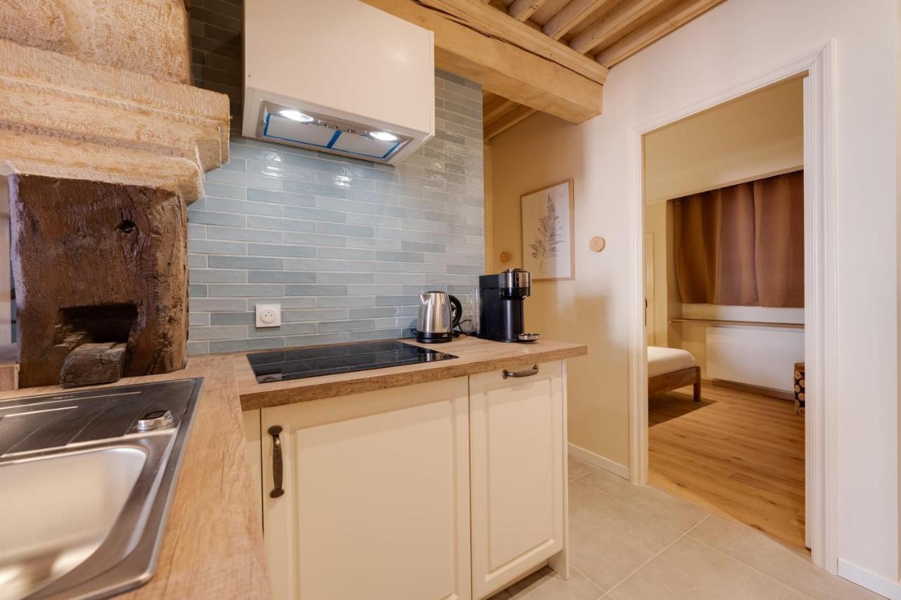 Le Balcon Perriere I - Charming Apartment With Direct View Of The Thiou Annecy Dış mekan fotoğraf